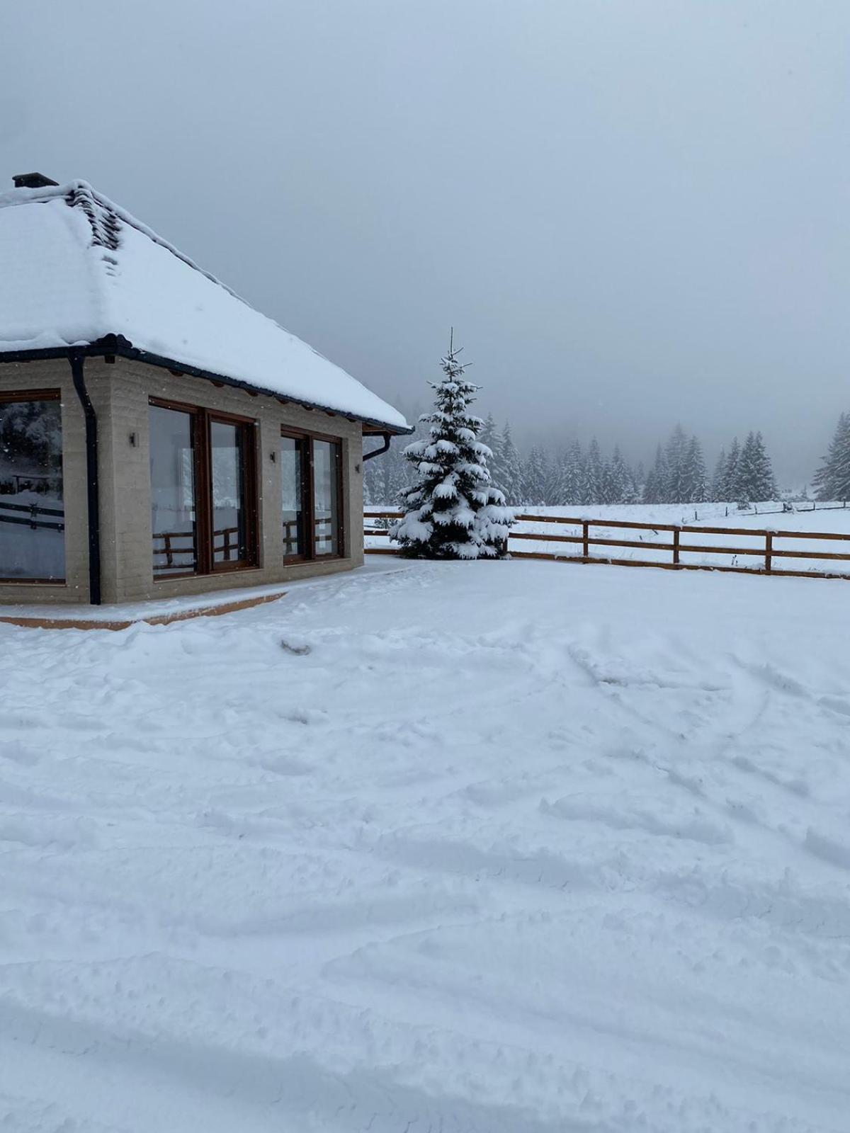 Vikendica Krlic Villa Mitrovac Exterior photo